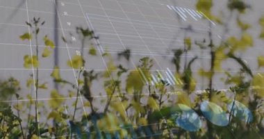 Çoklu grafiklerin animasyonu, değişen sayılar, yel değirmenlerine karşı tarlaların üzerinden çember yükleme. Dijital bileşik, çoklu pozlama, rapor, iş dünyası, çevre, yeşil ve sürdürülebilir kavram.