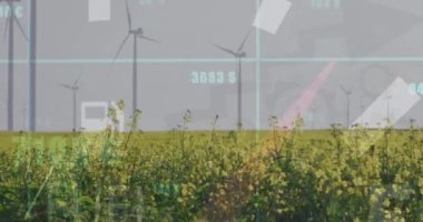 Yeşil alanda açık gökyüzüne karşı yel değirmenlerinin üzerinde değişen sayılarla grafiklerin animasyonu. Dijital bileşik, çoklu pozlama, rapor, iş dünyası, çevre, teknoloji, sürdürülebilir konsept.