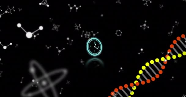 黒い背景を持つヌクレオチドの上に照らされたデジタル時計とDnaヘリックスのアニメーション デジタル生成 ホログラム イラスト 遺伝学 時間と技術の概念 — ストック動画