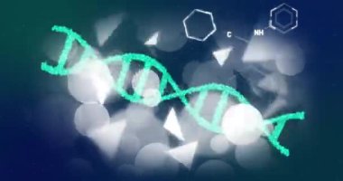 Aydınlatılmış mercek parlamaları üzerinde kimyasal formüllerle birlikte DNA sarmalının ve altıgenin animasyonu. Dijital olarak üretilmiş, çoklu maruz kalma, tıbbi, sağlık, molekül, soyut, kimya ve biyoloji kavramı.