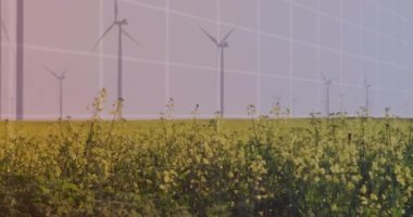 Çayır üzerinde gri gökyüzüne karşı dönen yel değirmeninin istatistiksel veri işleme animasyonu. Yenilenebilir enerji ve iş veri teknolojisi kavramı