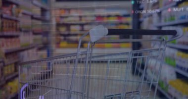 Grafiklerin animasyonu, alım satım tahtaları ve süpermarketteki alışveriş arabalarının üzerinden daireler yüklemek. Dijital bileşik, çoklu pozlama, rapor, iş dünyası, borsa ve soyut kavram.