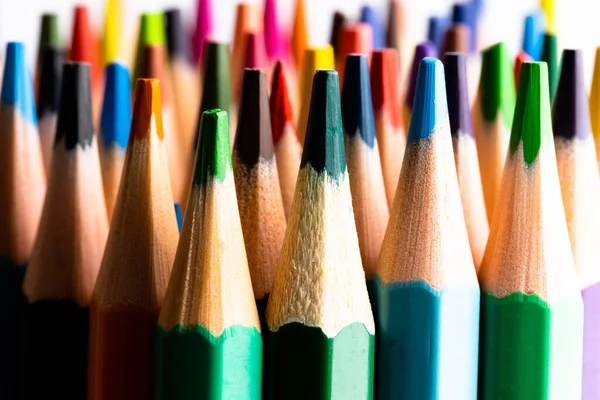 複数の色の鉛筆を閉じて 白い背景にスペースをコピーします 学校や教育の概念 — ストック写真