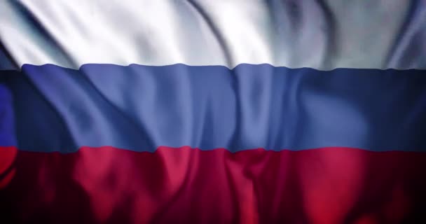 挥动俄罗斯国旗的动画 国际关系 联盟和全球政治概念数码视频 — 图库视频影像
