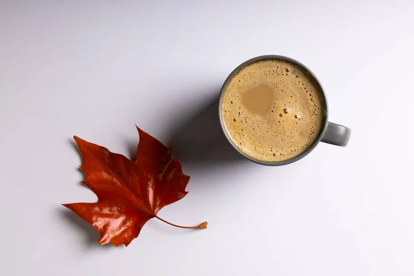 白い背景にカエデの葉とコーヒーカップのオーバーヘッドビュー コピースペース 秋の季節のコンセプト — ストック写真