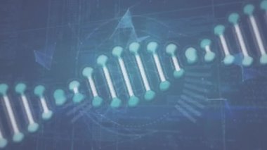 Plexus ağları ve veri işleme dünyasının üzerinde dönen DNA yapısının animasyonu. Tıbbi araştırma ve bilim teknolojisi kavramı