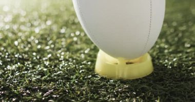 Beyaz rugby topu güneş ışığıyla aydınlatılmış çimlerin üzerinde fotokopi aletiyle, ağır çekimde. Rugby, spor, yarışma ve oyunlar dijital olarak oluşturuldu.