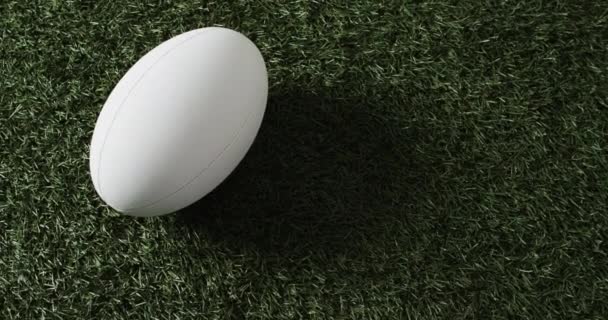 White Rugby Ball Sunlit Grass Copy Space Slow Motion Rugby — Stock Video