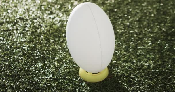 White Rugby Ball Kicking Tee Sunlit Grass Copy Space Slow — Stock Video