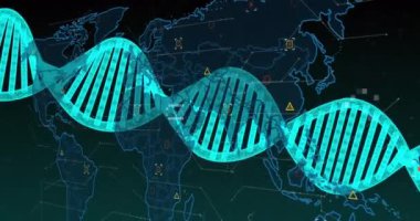 Dönen DNA yapısının animasyonu ve yeşil gradyan arka planına karşı dünya haritası. Tıbbi araştırma ve iş ağı teknolojisi kavramı