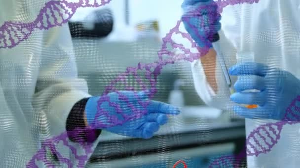 研究室で働く2人の男性科学者の間で回転するDna構造のアニメーション 医学研究科学技術概念 — ストック動画