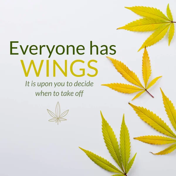Composite Everyone Has Wings You Decide Take Text Leaves Copy — Stock Photo, Image