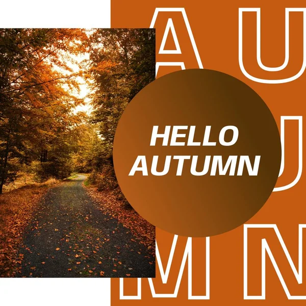 Hallo Herbst Herbsttext Auf Braun Mit Herbstlichem Wald Und Abgefallenem — Stockfoto