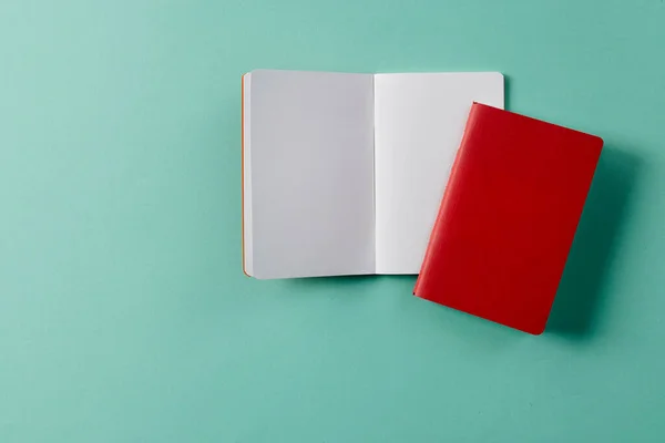 Close Red Notebook Open Book Copy Space Green Background Literature — Stock Photo, Image