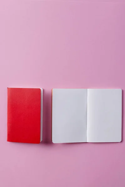 Close Red Notebook Open Book Copy Space Pink Background Literature — Stock Photo, Image