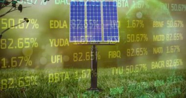 Güneş paneli üzerinde mercek fişeklerine karşı sunulan çok renkli ticari panelin animasyonu. Dijital bileşik, çoklu pozlama, iş dünyası, borsa, yenilenebilir enerji, güneş enerjisi ve koruma.