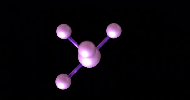 Animation Macro Purple Molecules Black Background Global Science Computing Digital — Stock Video