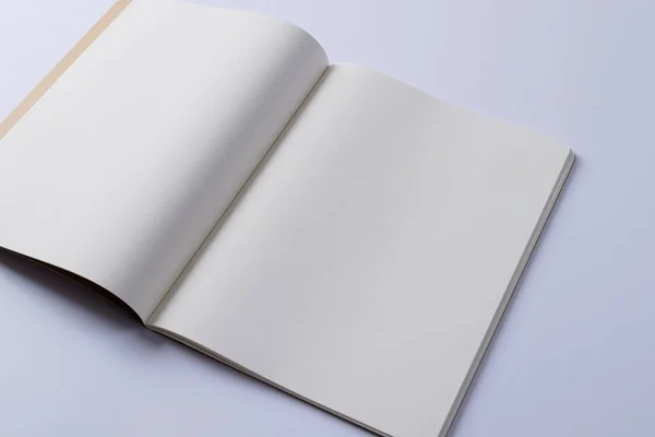 Primo Piano Libro Aperto Con Spazio Copia Sfondo Bianco Letteratura — Foto Stock