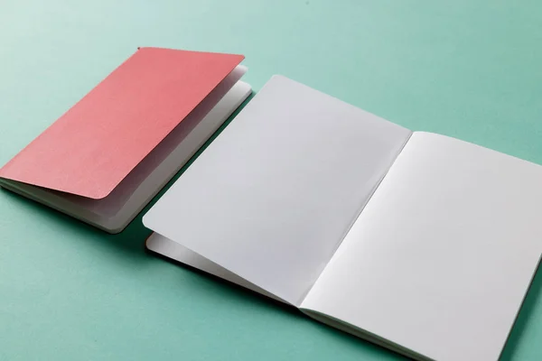 Close Red Notebook Open Book Copy Space Green Background Literature — Stock Photo, Image