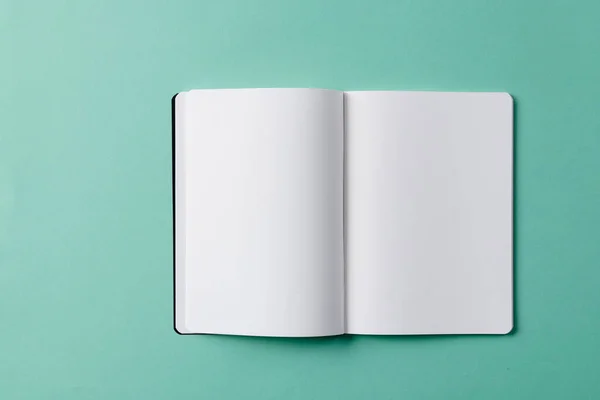 Närbild Öppen Bok Med Kopieringsutrymme Grön Bakgrund Litteratur Läsning Skrivning — Stockfoto