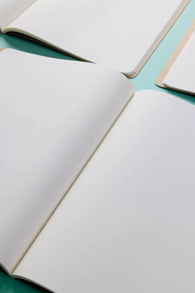 Närbild Öppna Böcker Med Kopieringsutrymme Grön Bakgrund Litteratur Läsning Skrivning — Stockfoto