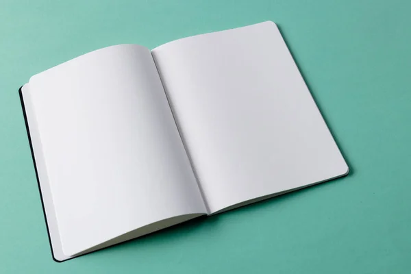 Primo Piano Libro Aperto Con Spazio Copia Sfondo Verde Letteratura — Foto Stock