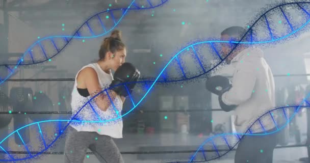 체육관에서 운동하는 여성을 대상으로 Dna 데이터 애니메이션 스포츠 데이터 디지털 — 비디오