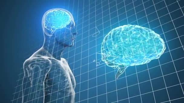人脑图标的动画和人体模型对照数学方程旋转 医学研究和科学技术概念 — 图库视频影像