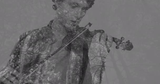 흑인과 백인에서 바이올린을 코카서스 상단의 애니메이션 분위기 창의성 디지털 방식으로 — 비디오