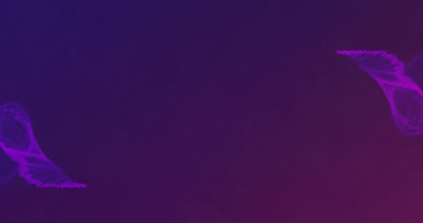 紫色の背景に紫色の光道のアニメーション 光の概念デジタル生成ビデオ — ストック動画