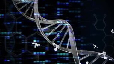 DNA ipliği üzerinde molekül ve veri işleme animasyonu ve siyah arkaplan üzerinde hareket eden sütunlar. Bilim, bilgisayar ve dijital arayüz kavramı dijital olarak oluşturulmuş video.