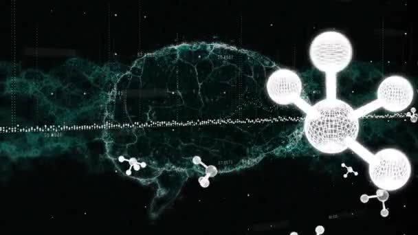 Veri Işleme Üzerinden Moleküllerin Animasyonu Siyah Zemin Üzerinde Dijital Beyin — Stok video