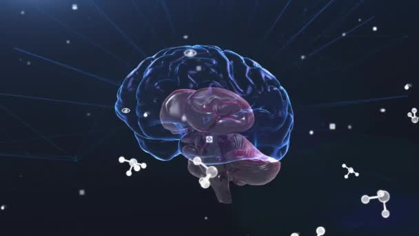 Animering Molekyler Över Digital Hjärna Svart Bakgrund Vetenskap Databehandling Och — Stockvideo