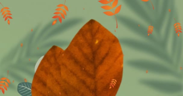 秋天橙色叶子和图案在绿色背景上的动画 模式和自然概念数码视频 — 图库视频影像