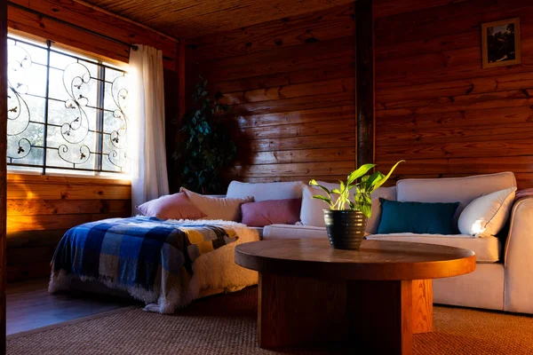 stock image Interior of empty living room with couch and plant on table in log cabin. Interior, agriculture, summer.