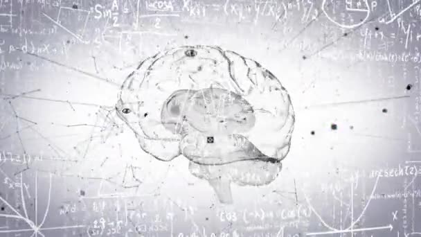 Animation Équations Mathématiques Réseau Connexions Contre Rotation Icône Cerveau Humain — Video