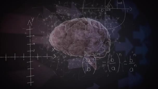 人間の脳に対する数学的データ処理のアニメーション グローバルサイエンス コンピューティング データ処理の概念デジタル生成されたビデオ — ストック動画