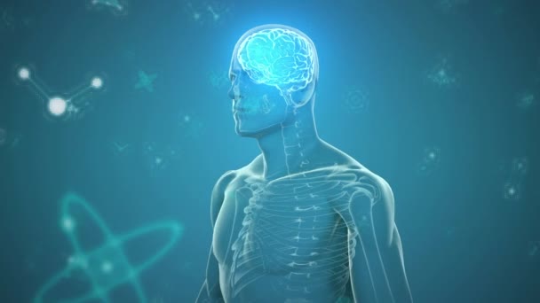 Animación Del Cuerpo Humano Con Cerebro Brillante Partículas Sobre Fondo — Vídeos de Stock