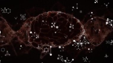 İnsan beyninin animasyonu ve moleküller üzerinde işlenen veri. Küresel bilim, bilgisayar ve veri işleme kavramı dijital olarak oluşturulmuş video.