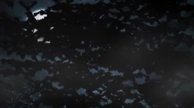 Mezarlıktaki cadılar bayramı için korkutucu yarasa animasyonu.