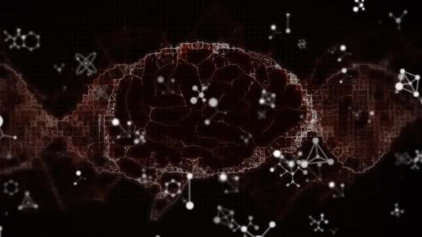 分子上の人間の脳やデータ処理のアニメーション グローバルサイエンス コンピューティング データ処理の概念デジタル生成されたビデオ — ストック動画