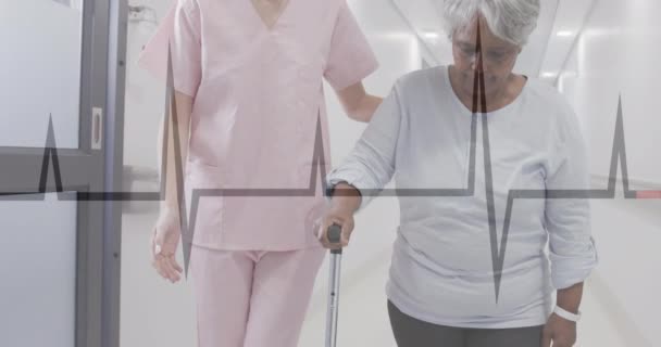 Animacja Kardiografu Nad Różnymi Pacjentkami Podeszłym Wieku Pielęgniarkami Chodzącymi Laską — Wideo stockowe