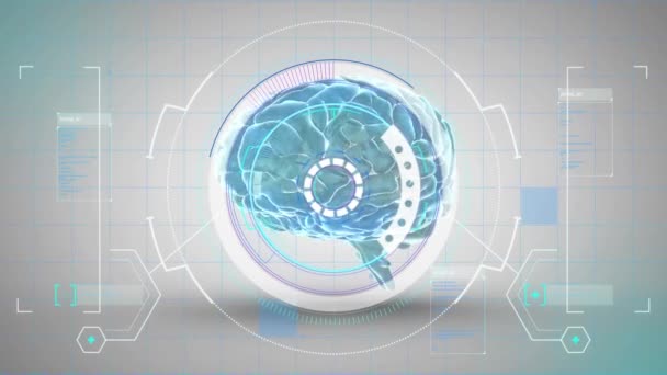 Animacja Przetwarzania Danych Przez Ludzki Mózg Koncepcja Globalnej Nauki Sieci — Wideo stockowe