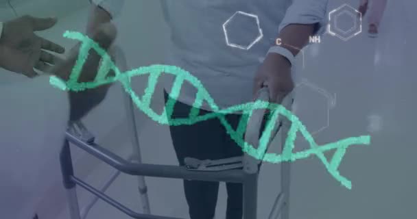 歩行フレームを有する多様な高齢女性患者に対するDna鎖と化学式のアニメーション 健康とデジタルインターフェイスの概念 デジタル生成されたビデオ — ストック動画