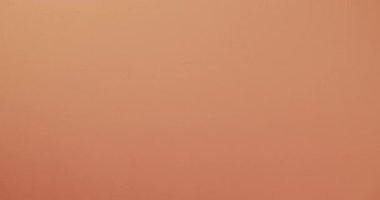 Close up of white dove with leaf and copy space on orange background. Peace and anti war movement concept.