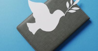 Gri defterinde yaprak olan beyaz güvercini kapat ve mavi arkaplanda da boşluğu kopyala. Barış ve savaş karşıtı hareket kavramı.