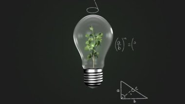 Matematiksel denklemlerin yeşil ışığa karşı bir elektrik ampulünün içindeki bitki üzerinde animasyonu. Ekoloji ve sürdürülebilir enerji kavramı