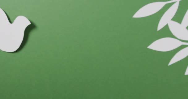 Primo Piano Colomba Bianca Con Foglie Spazio Copia Sfondo Verde — Video Stock