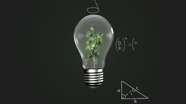 Animation Équations Mathématiques Dessus Une Plante Intérieur Une Ampoule Électrique — Video
