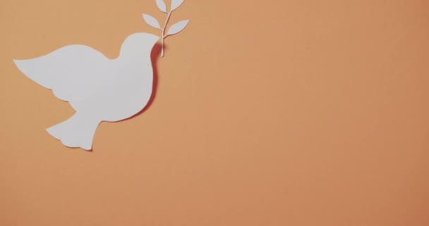 Close White Dove Leaf Copy Space Orange Background Peace War — 图库视频影像